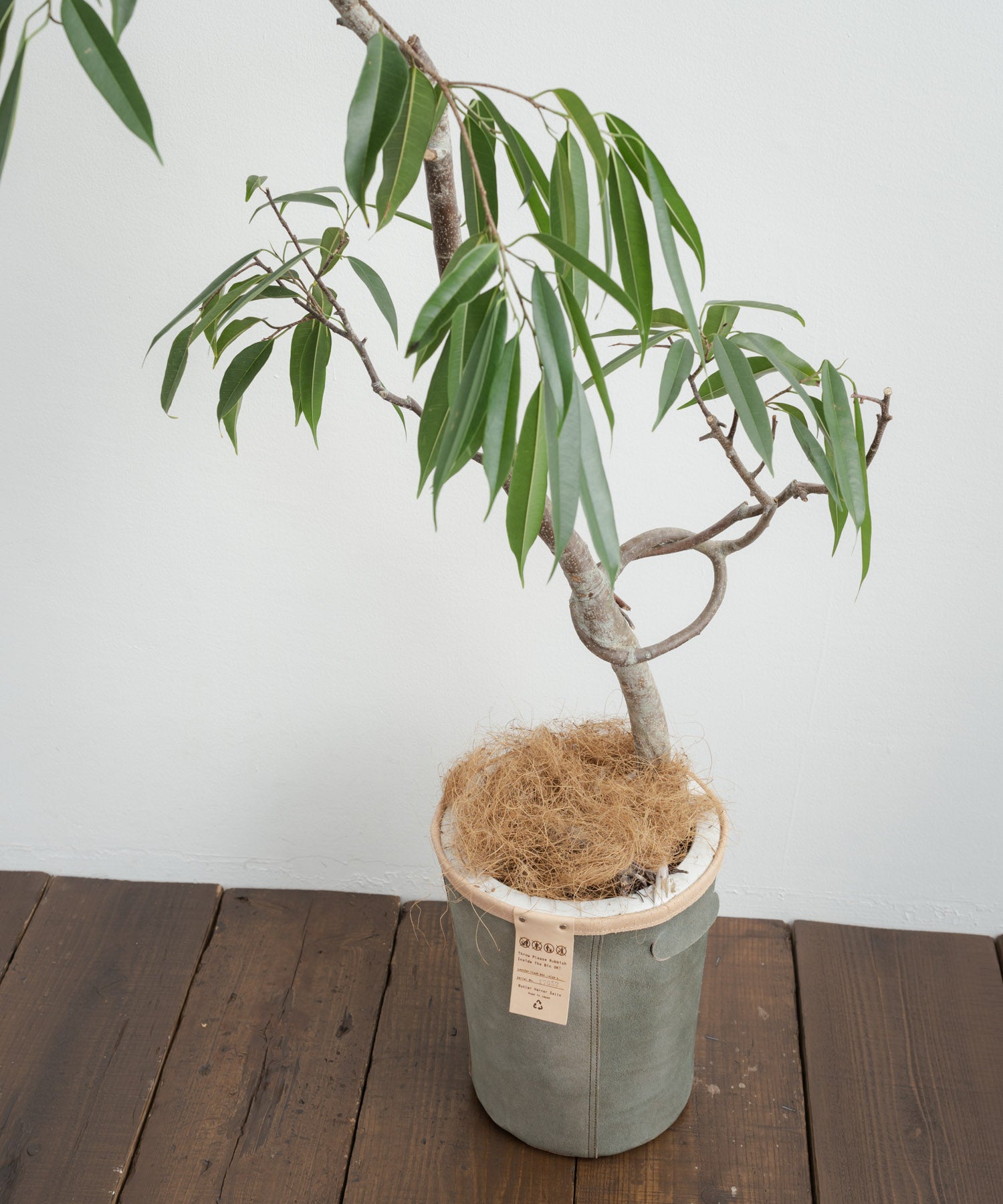 Butler Verner Sails バトラーバーナーセイルズ 国産/日本製 牛トコ革トラッシュボックス JI-2652 11759