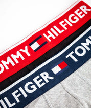 TOMMY HILFIGER トミーヒルフィガー 2PACK BOXER BRIEF アンダーウェア/ローライズボクサーパンツ2枚セット 15111