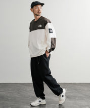 日本未展開モデル THE NORTH FACE ザ・ノースフェイス ALBANY CREWNECK 長袖ナイロンクルーネックプルオーバー 14477