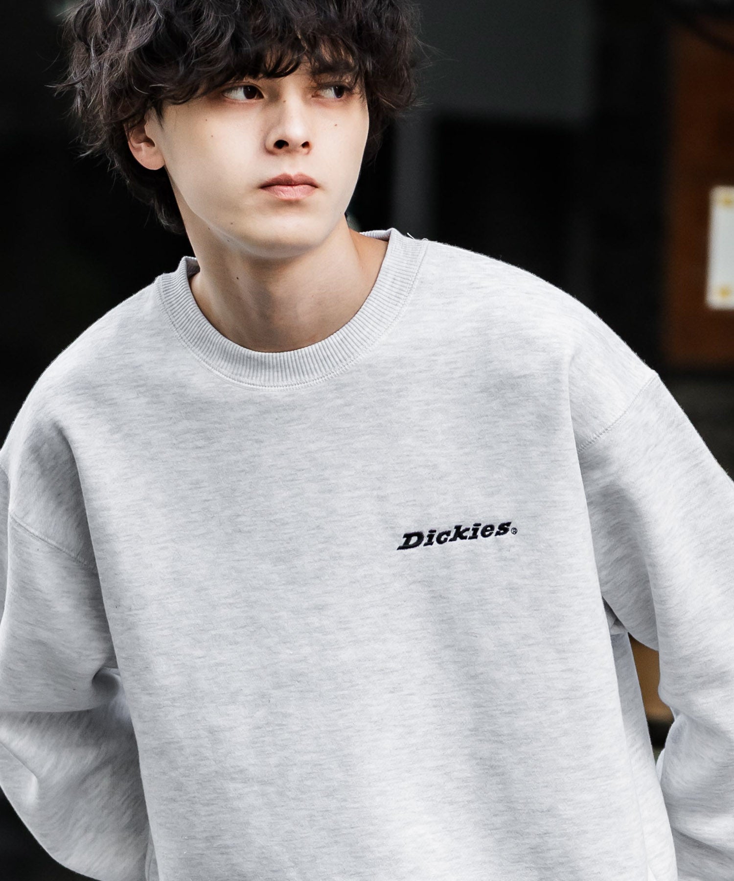 Dickies 裏起毛バックプリント刺繍クルーネック長袖スウェットトレーナー 14886