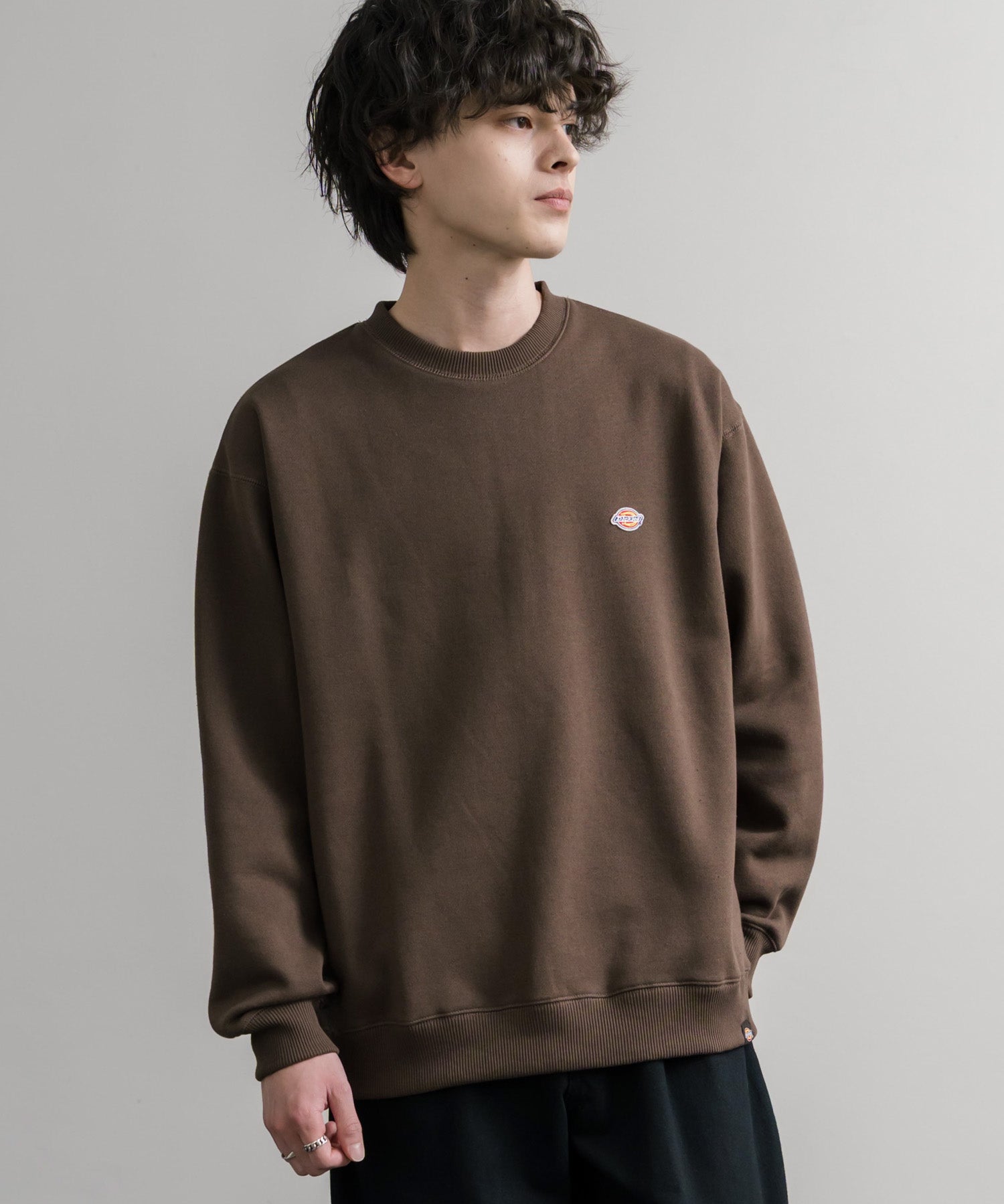 Dickies 裏起毛ワンポイントロゴワッペンクルーネック長袖スウェットトレーナー 14887