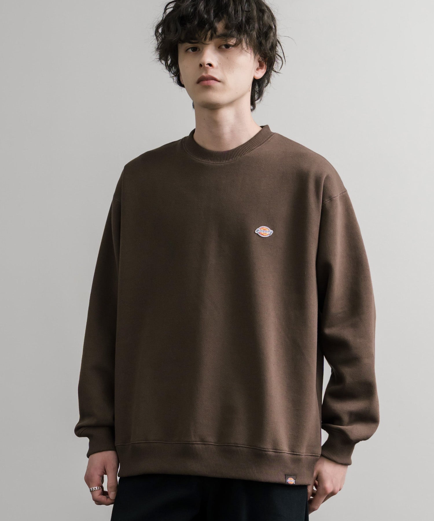 Dickies 裏起毛ワンポイントロゴワッペンクルーネック長袖スウェットトレーナー 14887