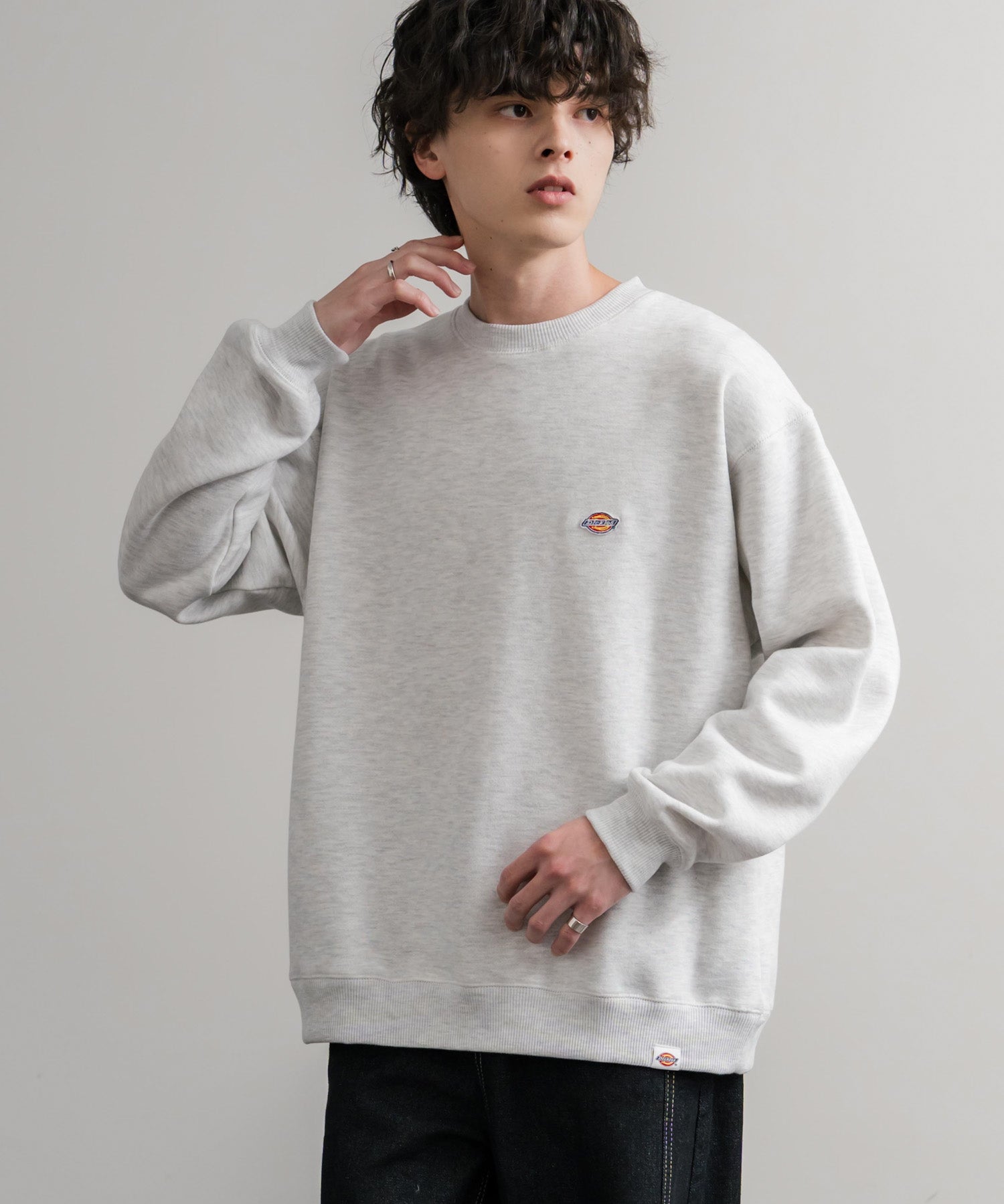 Dickies 裏起毛ワンポイントロゴワッペンクルーネック長袖スウェットトレーナー 14887