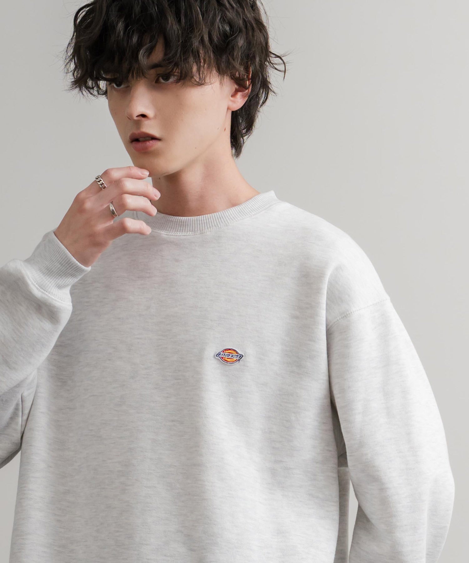 Dickies 裏起毛ワンポイントロゴワッペンクルーネック長袖スウェットトレーナー 14887