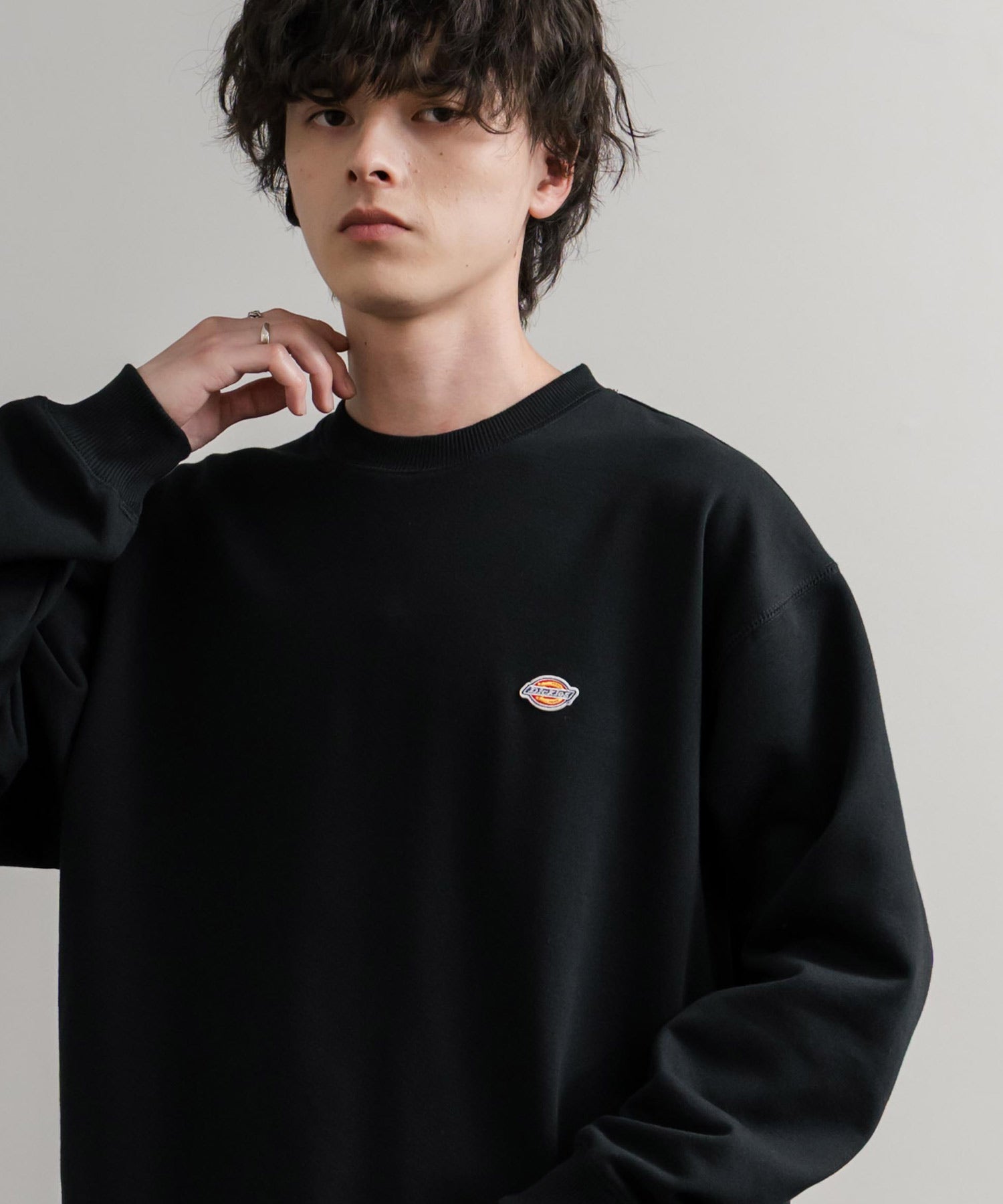 Dickies 裏起毛ワンポイントロゴワッペンクルーネック長袖スウェットトレーナー 14887