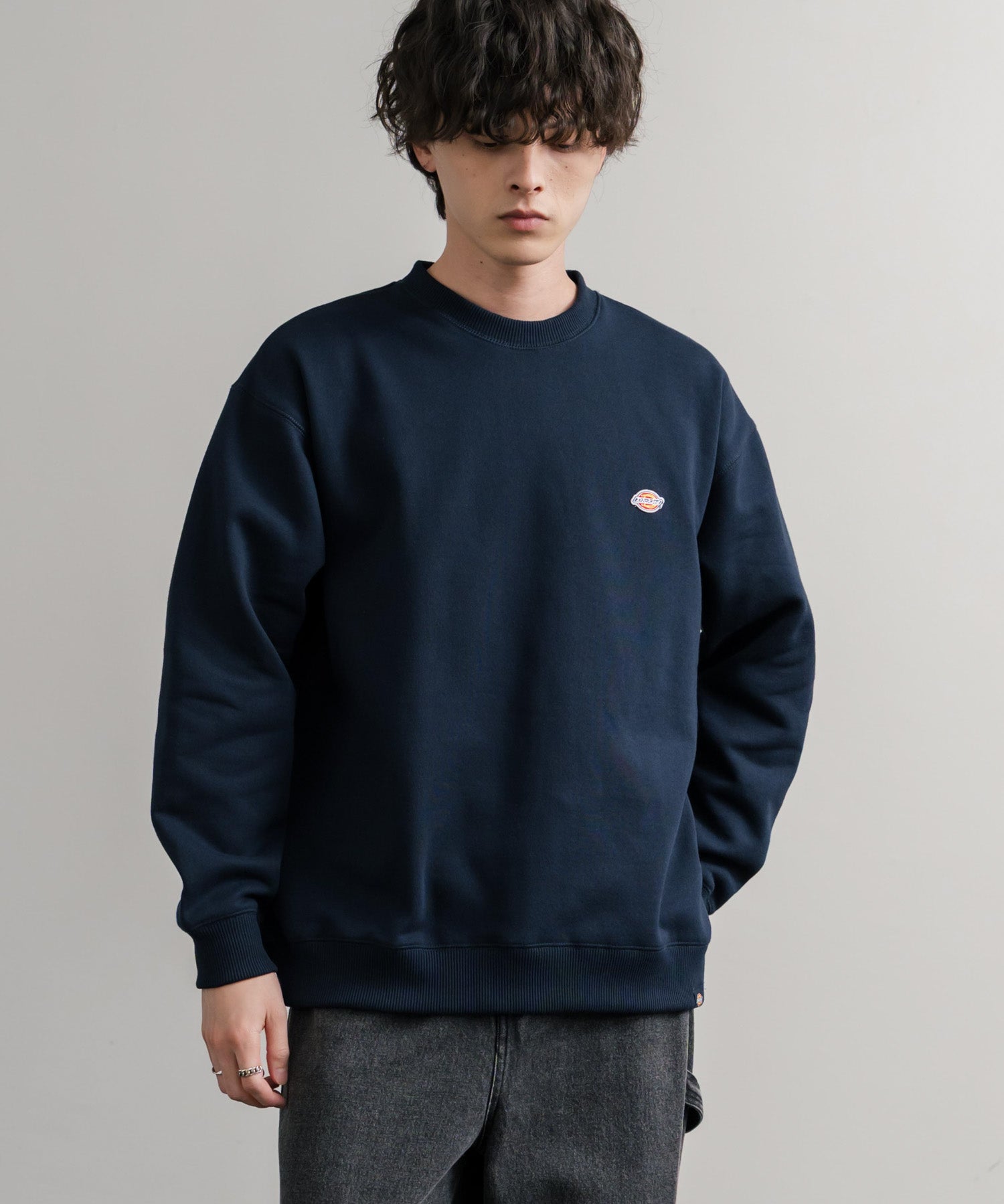 Dickies 裏起毛ワンポイントロゴワッペンクルーネック長袖スウェットトレーナー 14887