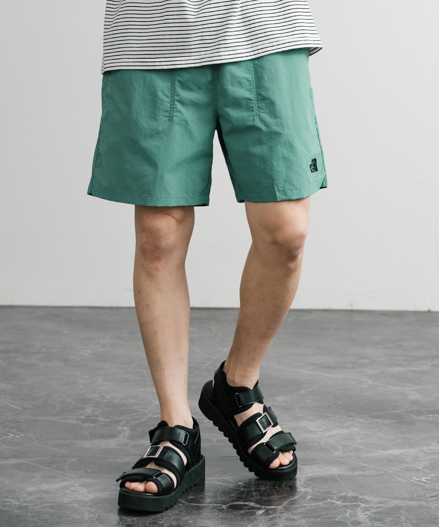 新色追加 日本未展開モデル THE NORTH FACE ザ・ノースフェイス OLEMA SHORTS オレマ ショーツ/ナイロンショートパンツ 14978
