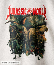 Universal City Studios LLC 別注コラボ オーバーサイズヴィンテージライクグラフィックプリント裏起毛スウェットトレーナー 15115