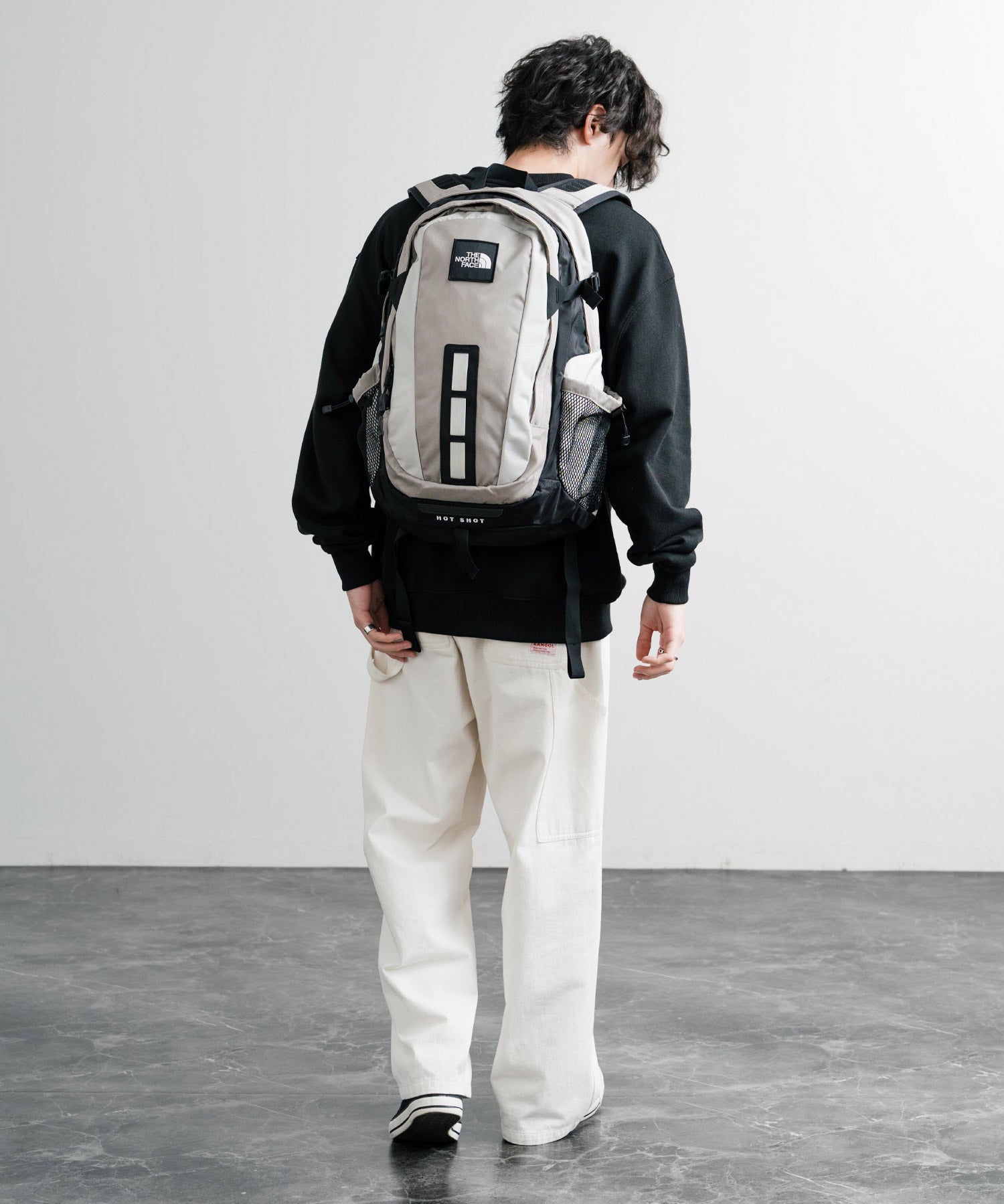 新色追加 THE NORTH FACE ザ・ノースフェイス HOT SHOT SE BACK PACK ホットショット バックパック/リュック 15100