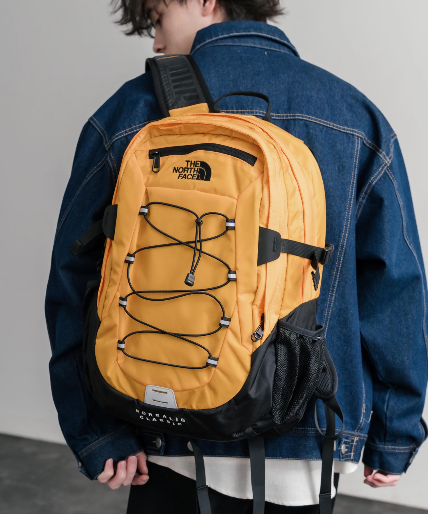 新色追加 THE NORTH FACE ザ・ノースフェイス BOREALIS CLASSIC BKP ボレアリスクラシックバックパック/リュック 15101