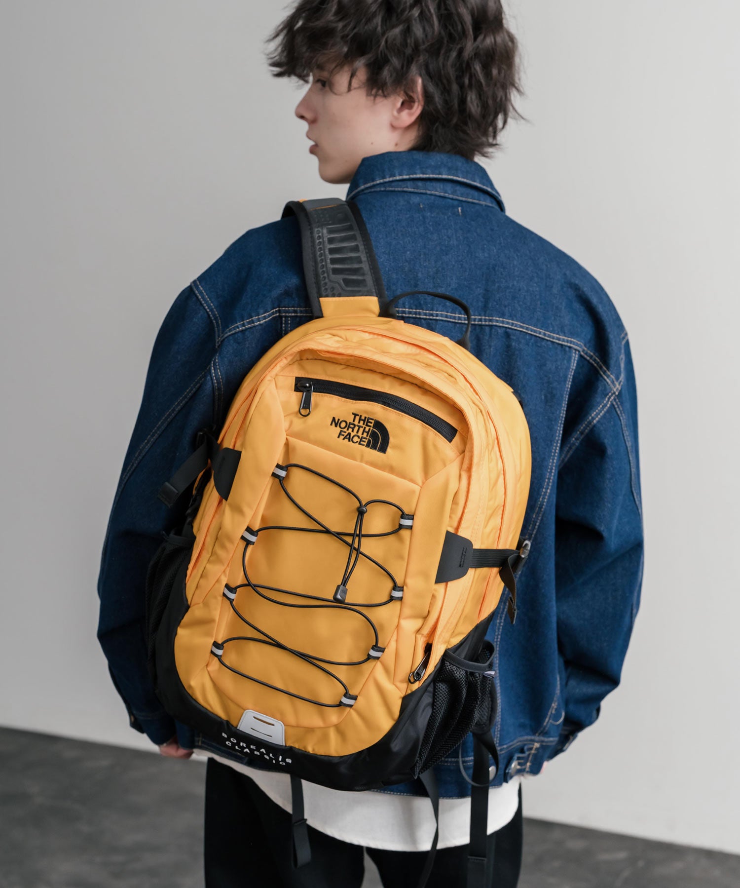 新色追加 THE NORTH FACE ザ・ノースフェイス BOREALIS CLASSIC BKP ボレアリスクラシックバックパック/リュック 15101