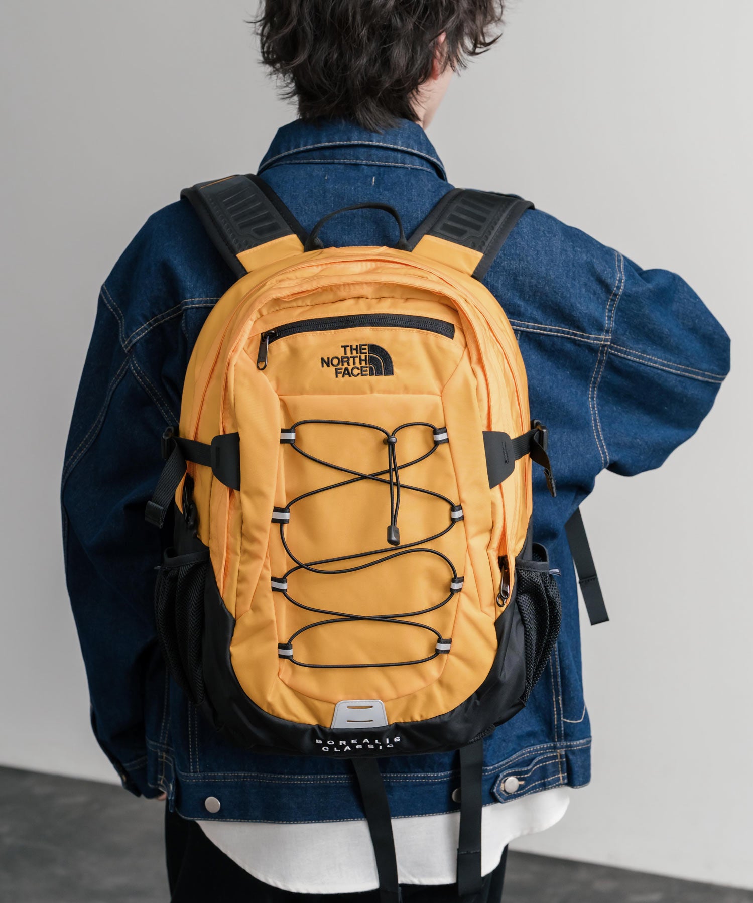 新色追加 THE NORTH FACE ザ・ノースフェイス BOREALIS CLASSIC BKP ボレアリスクラシックバックパック/リュック 15101