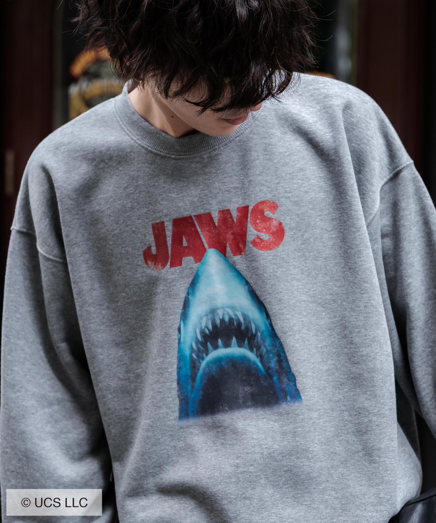 Universal City Studios LLC 別注コラボ オーバーサイズヴィンテージライクグラフィックプリント裏起毛スウェットトレーナー 15115