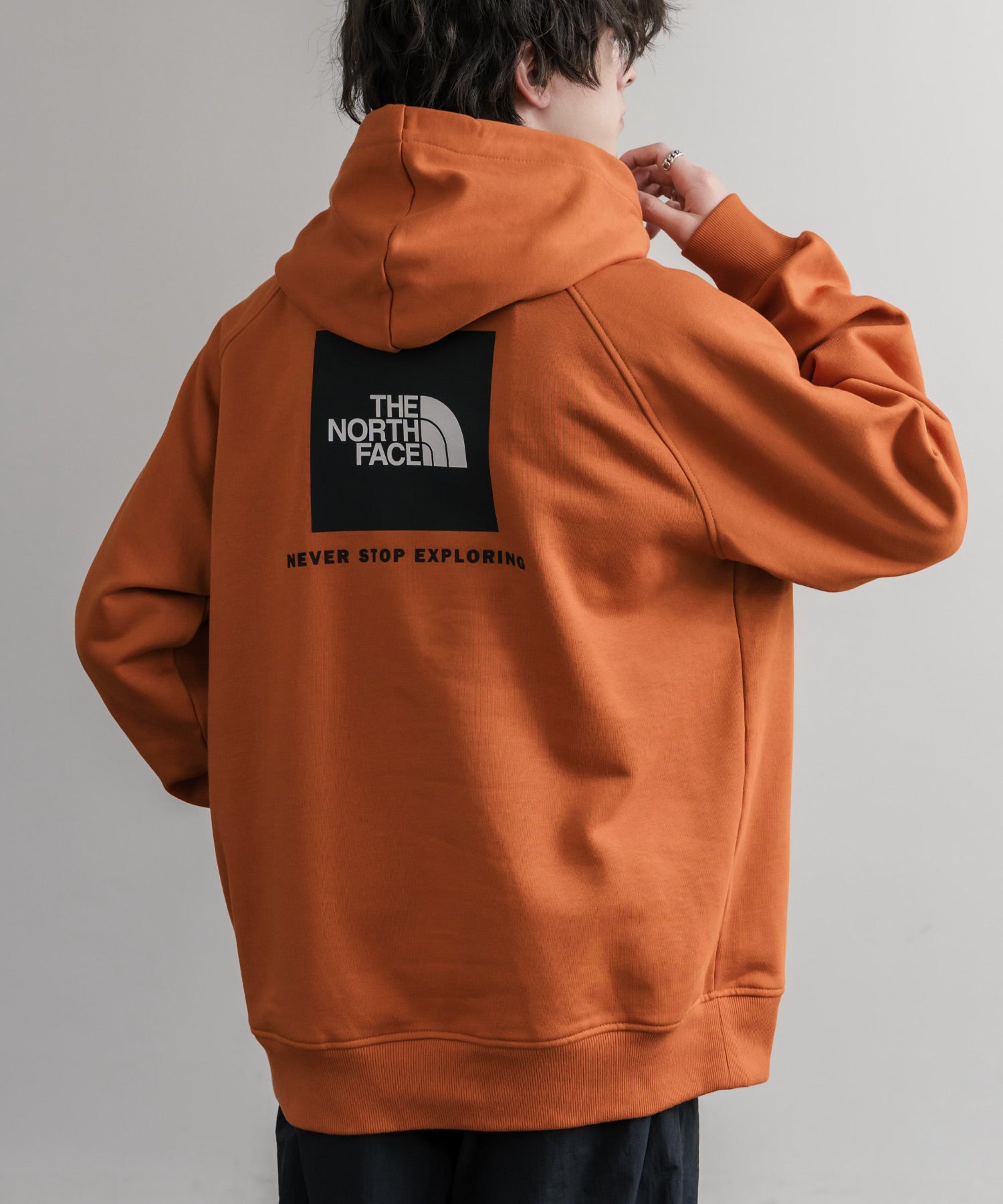 THE NORTH FACE ザ・ノースフェイス RAGLAN REDBOX HOODIE オーバーサイズ裏起毛バックプリントラグランプルオーバーパーカー 15214