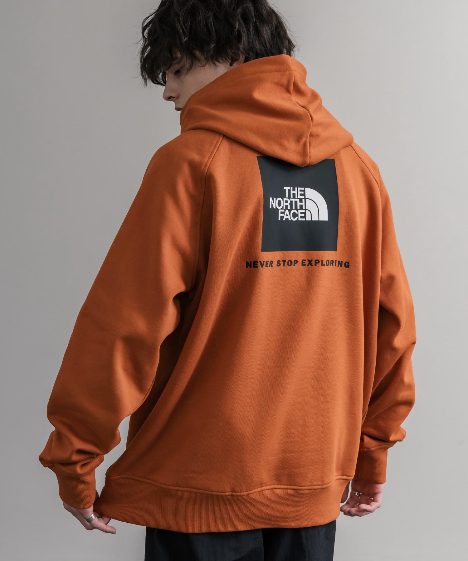 THE NORTH FACE ザ・ノースフェイス RAGLAN REDBOX HOODIE オーバーサイズ裏起毛バックプリントラグランプルオーバーパーカー 15214