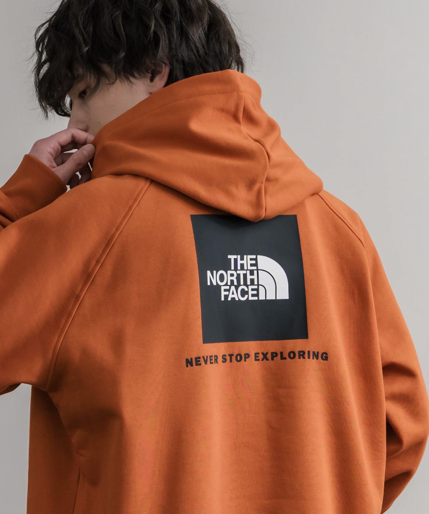 THE NORTH FACE ザ・ノースフェイス RAGLAN REDBOX HOODIE オーバーサイズ裏起毛バックプリントラグランプルオーバーパーカー 15214