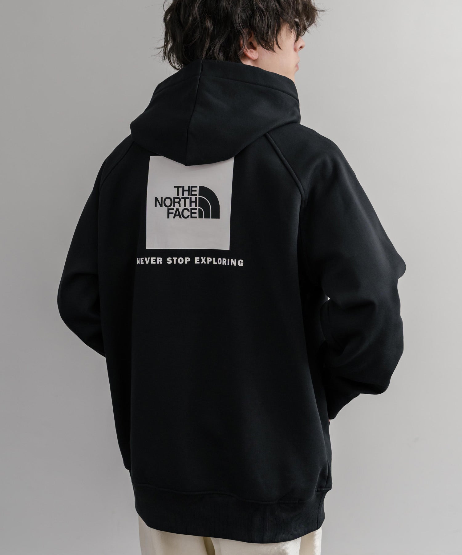 THE NORTH FACE ザ・ノースフェイス RAGLAN REDBOX HOODIE オーバーサイズ裏起毛バックプリントラグランプルオーバーパーカー 15214