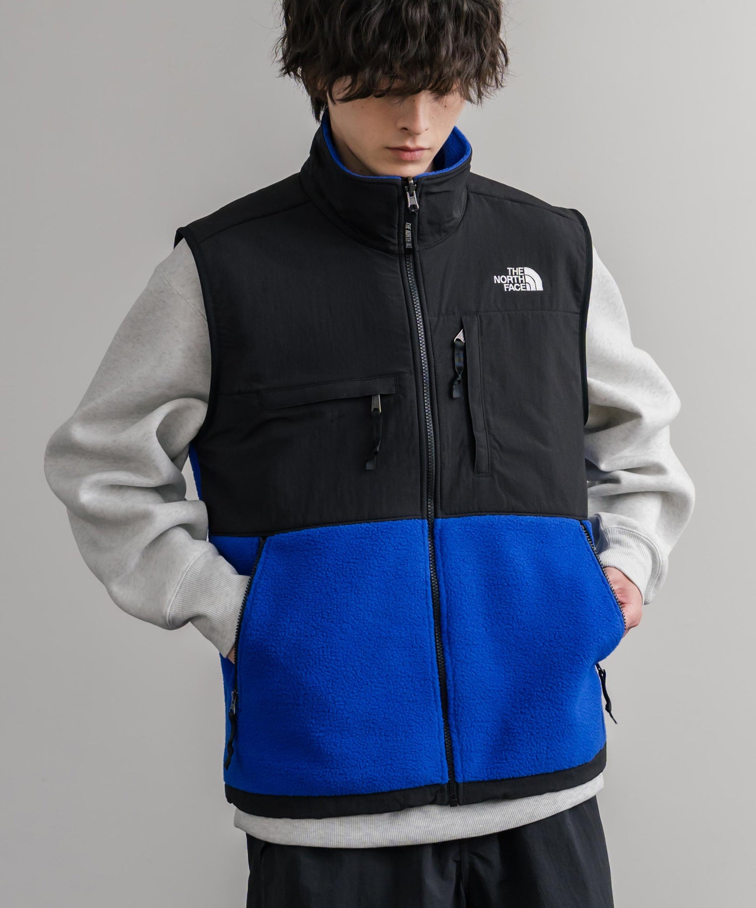 THE NORTH FACE ザ・ノースフェイス RETRO DENALI VEST レトロデナリ配色切替フリースベスト 15216