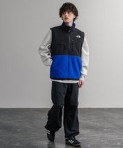 THE NORTH FACE ザ・ノースフェイス RETRO DENALI VEST レトロデナリ配色切替フリースベスト 15216