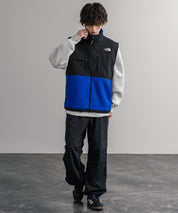 THE NORTH FACE ザ・ノースフェイス RETRO DENALI VEST レトロデナリ配色切替フリースベスト 15216