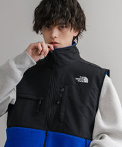 THE NORTH FACE ザ・ノースフェイス RETRO DENALI VEST レトロデナリ配色切替フリースベスト 15216