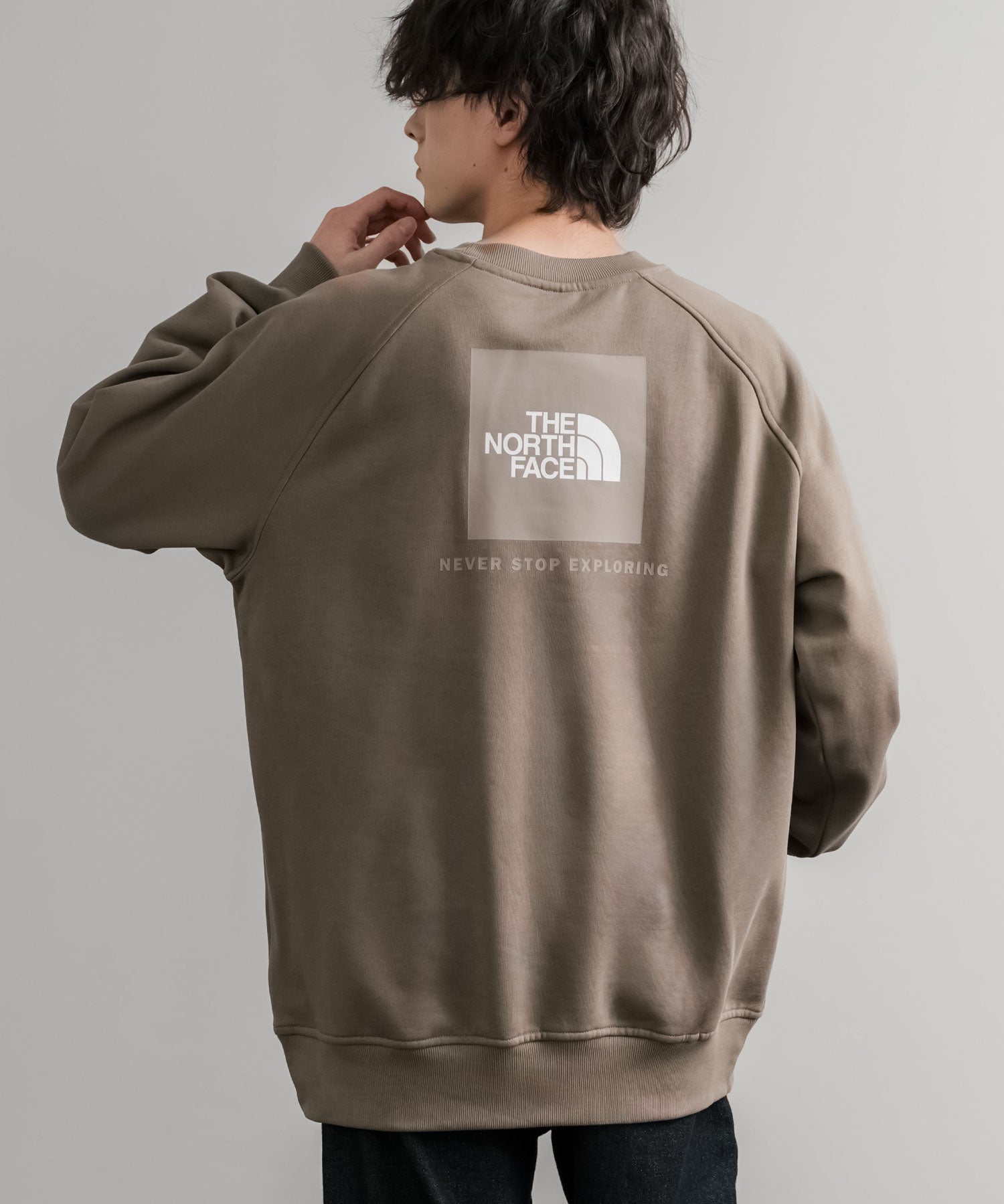 THE NORTH FACE ザ・ノースフェイス MEN S RAGLAN REDBOX CREW/バックプリントラグランクルーネック裏起毛トレーナー 15354