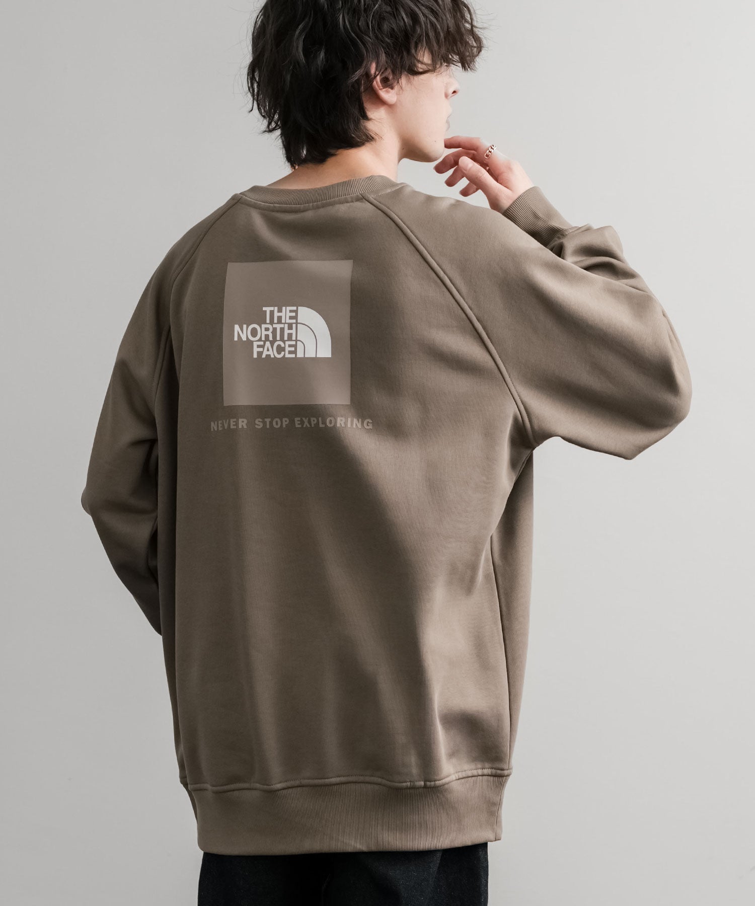 THE NORTH FACE ザ・ノースフェイス MEN S RAGLAN REDBOX CREW/バック
