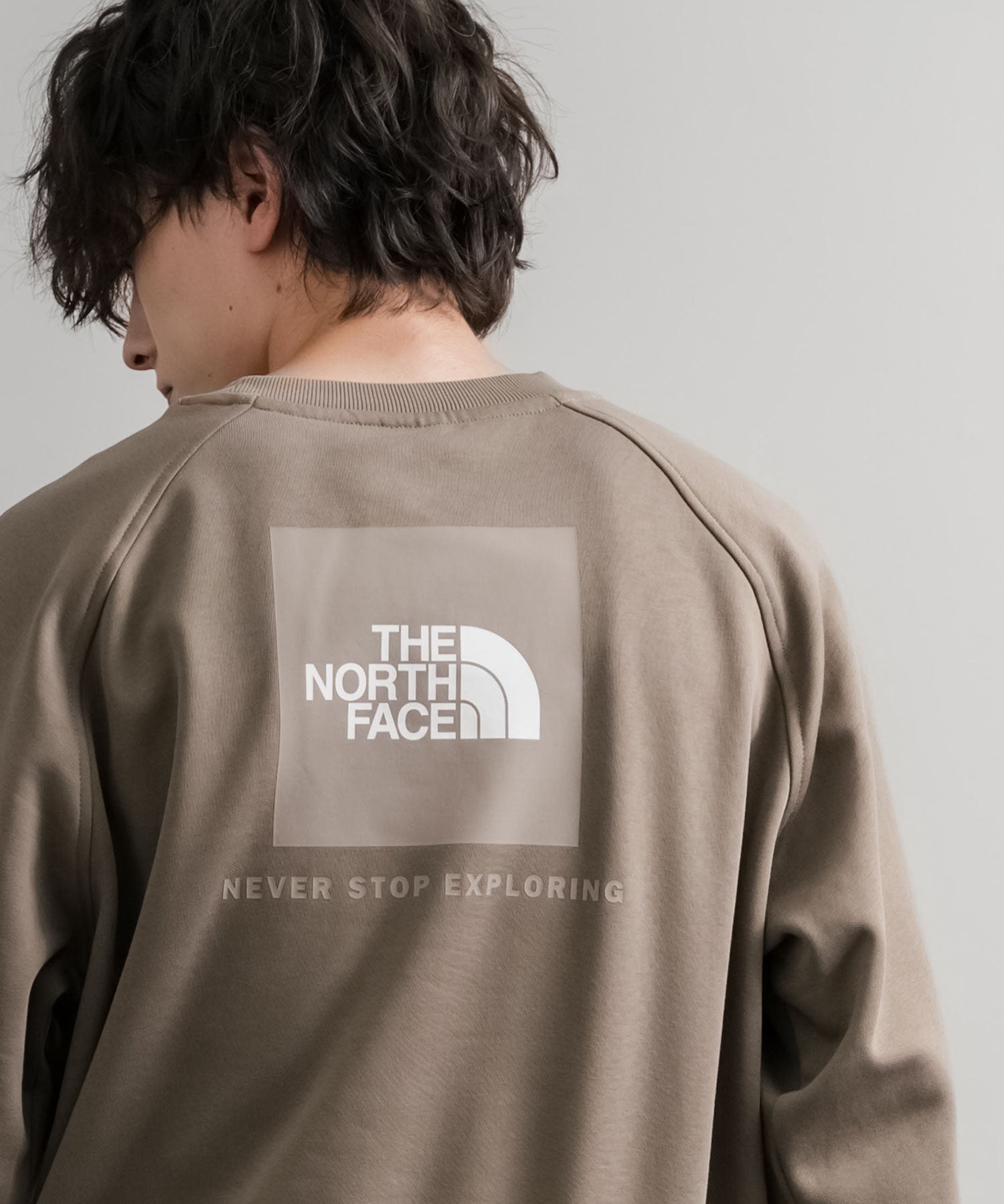 THE NORTH FACE ザ・ノースフェイス MEN S RAGLAN REDBOX CREW/バックプリントラグランクルーネック裏起毛トレーナー 15354