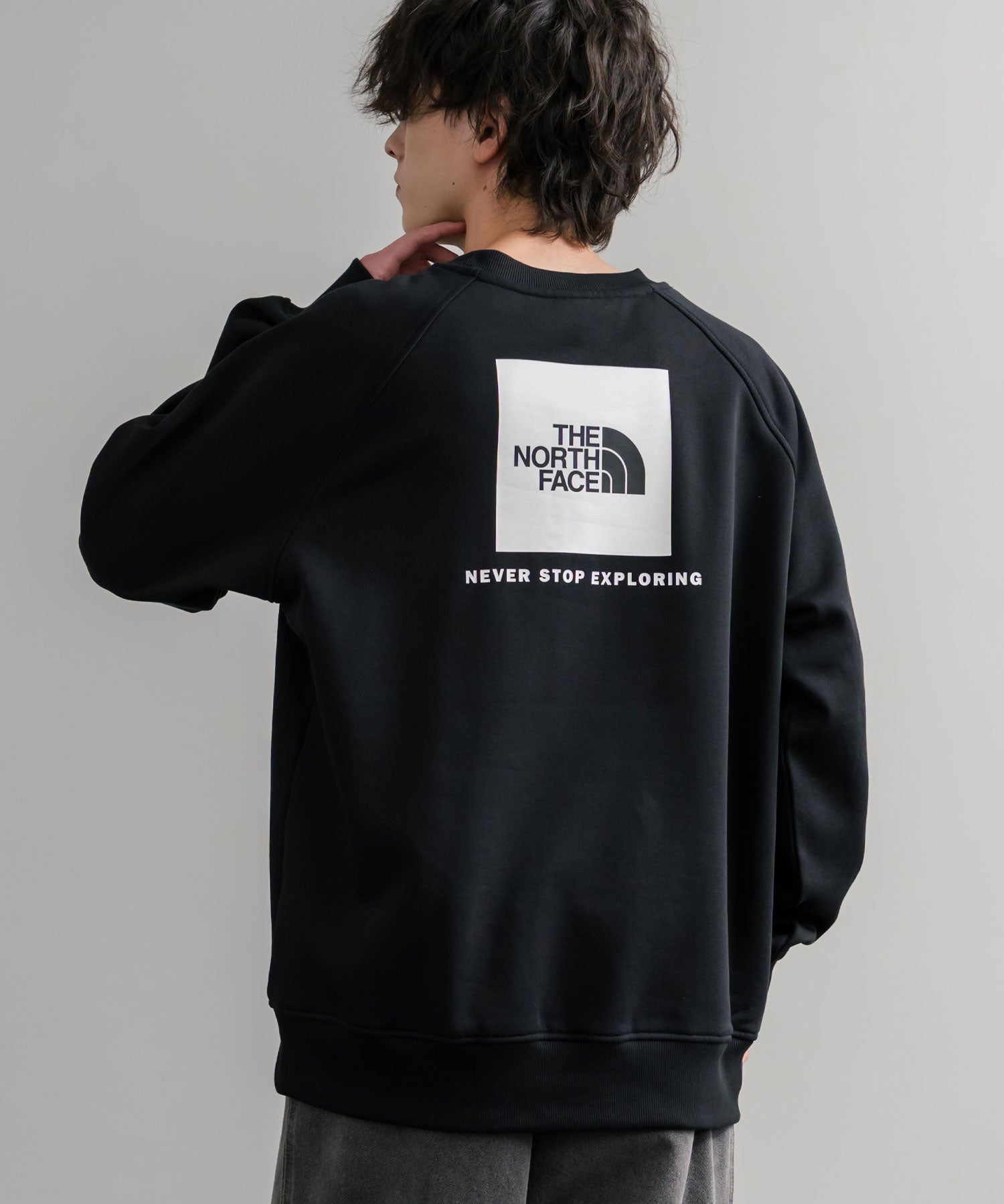 THE NORTH FACE ザ・ノースフェイス MEN S RAGLAN REDBOX CREW/バックプリントラグランクルーネック裏起毛トレーナー 15354
