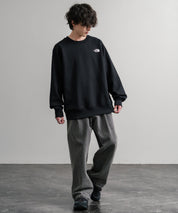 THE NORTH FACE ザ・ノースフェイス MEN S RAGLAN REDBOX CREW/バックプリントラグランクルーネック裏起毛トレーナー 15354
