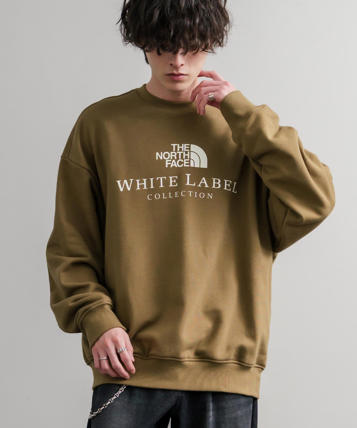 日本未展開モデル THE NORTH FACE ザ・ノースフェイス WHITE LABEL ホワイトレーベル TNF SIGNATURE SWEATSHIRTS クルーネック長袖スウェットトレーナー 15380