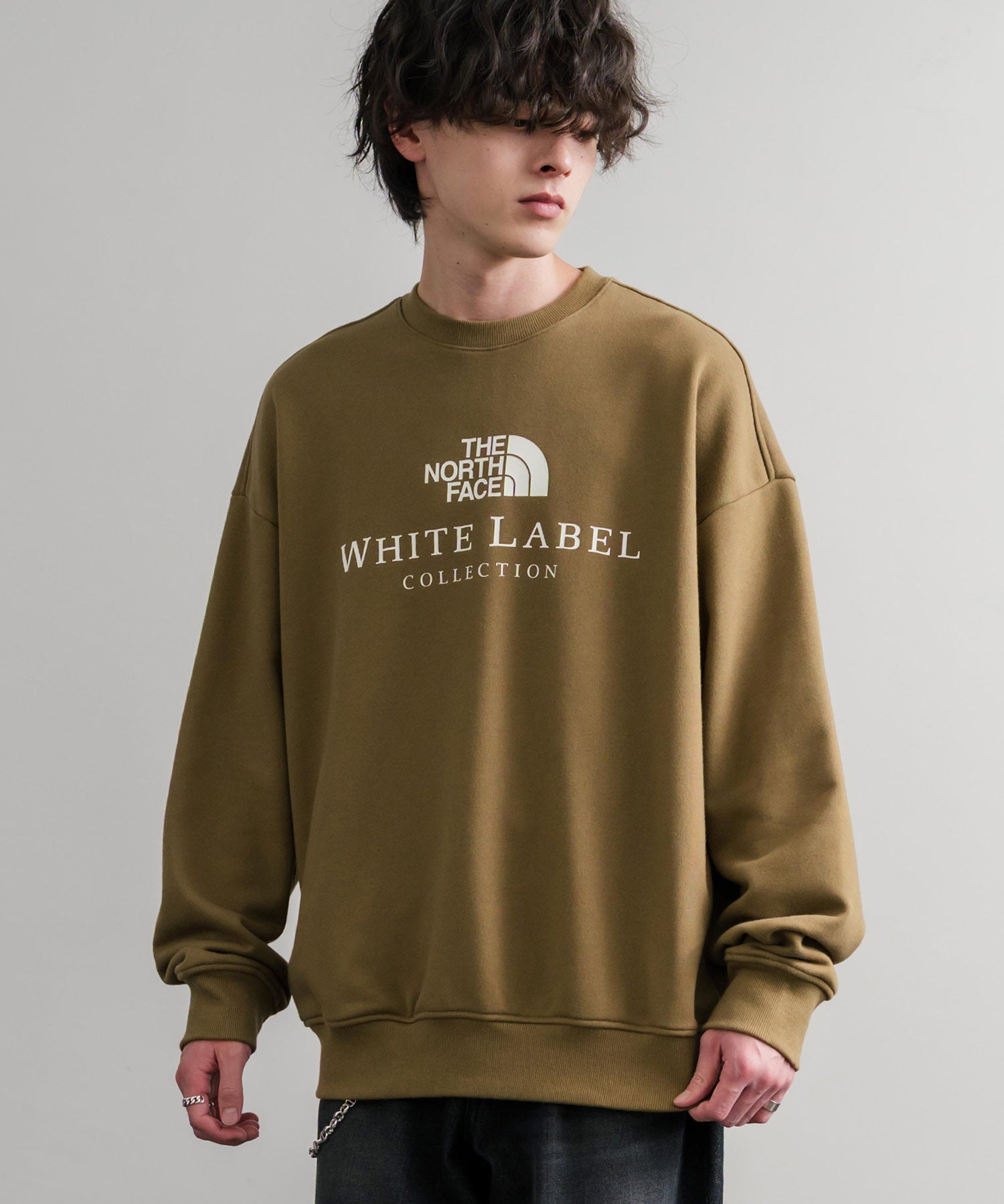 日本未展開モデル THE NORTH FACE ザ・ノースフェイス WHITE LABEL ホワイトレーベル TNF SIGNATURE SWEATSHIRTS クルーネック長袖スウェットトレーナー 15380