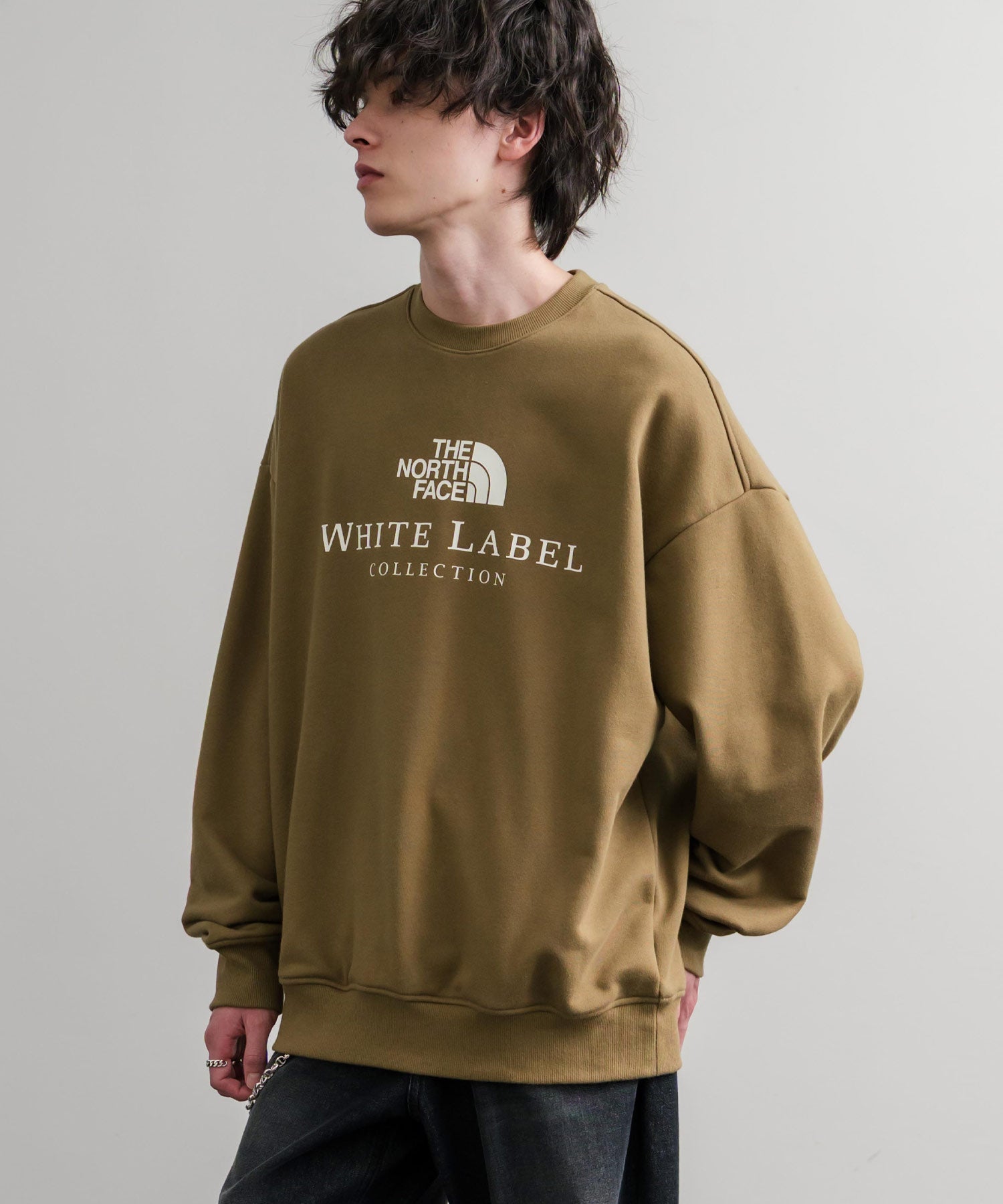 日本未展開モデル THE NORTH FACE ザ・ノースフェイス WHITE LABEL ホワイトレーベル TNF SIGNATURE SWEATSHIRTS クルーネック長袖スウェットトレーナー 15380