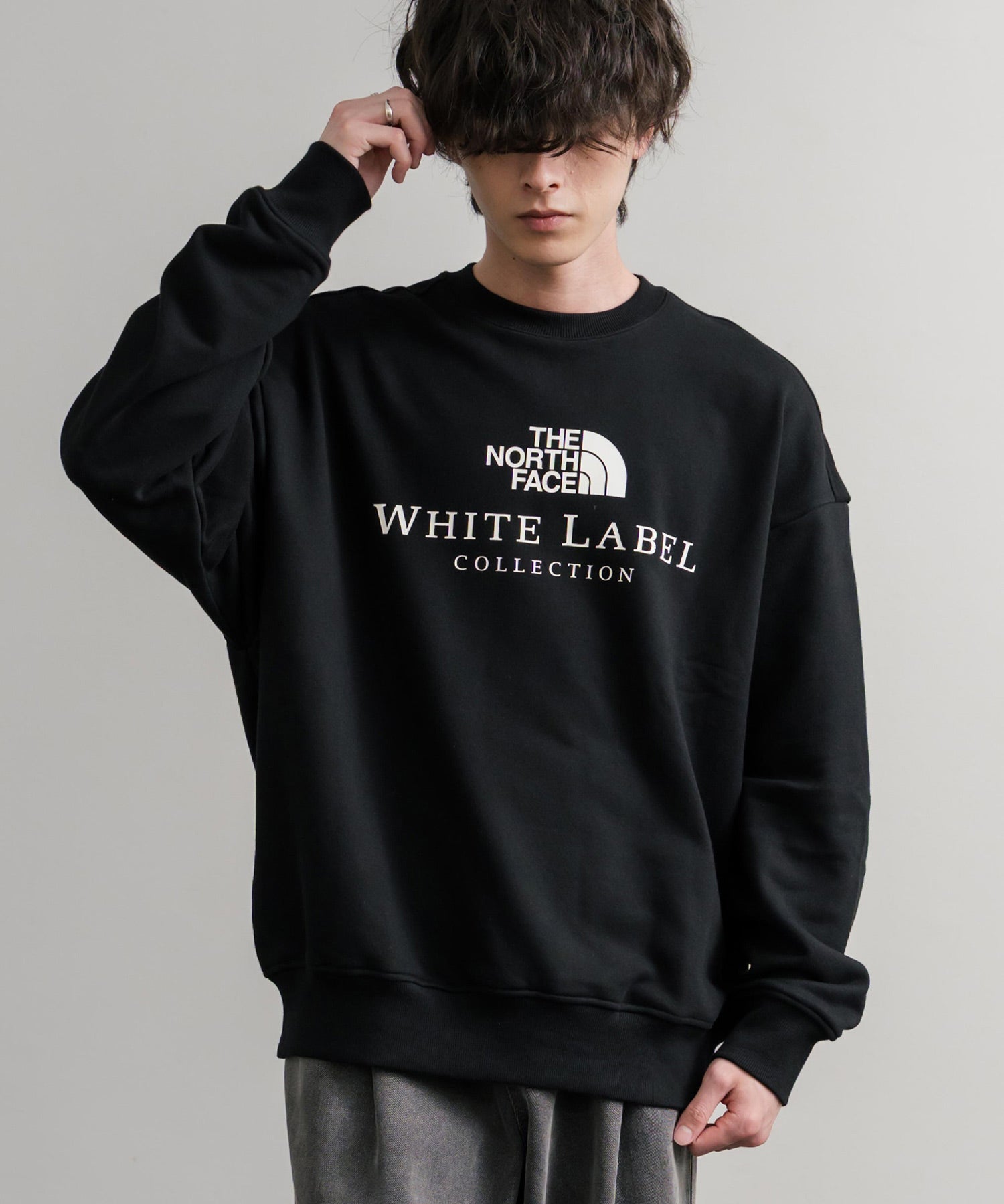 日本未展開モデル THE NORTH FACE ザ・ノースフェイス WHITE LABEL ホワイトレーベル TNF SIGNATURE SWEATSHIRTS クルーネック長袖スウェットトレーナー 15380