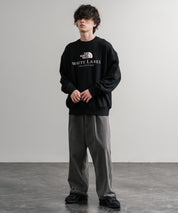 日本未展開モデル THE NORTH FACE ザ・ノースフェイス WHITE LABEL ホワイトレーベル TNF SIGNATURE SWEATSHIRTS クルーネック長袖スウェットトレーナー 15380