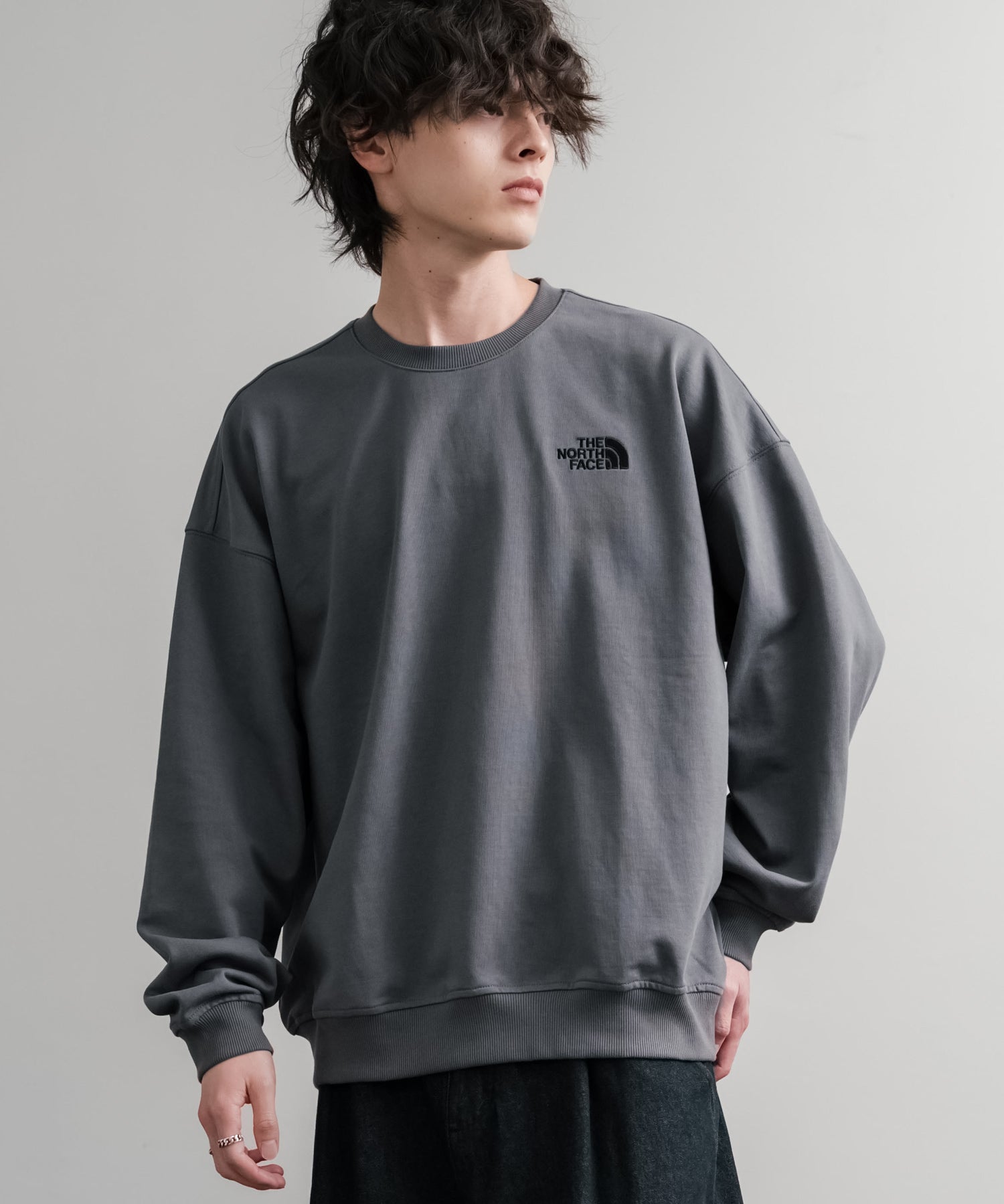 日本未展開モデル THE NORTH FACE ザ・ノースフェイス WHITE LABEL ホワイトレーベル TNF GO-TO SWEATSHIRTS ワンポイントロゴ刺繍クルーネック長袖スウェットトレーナー 15433