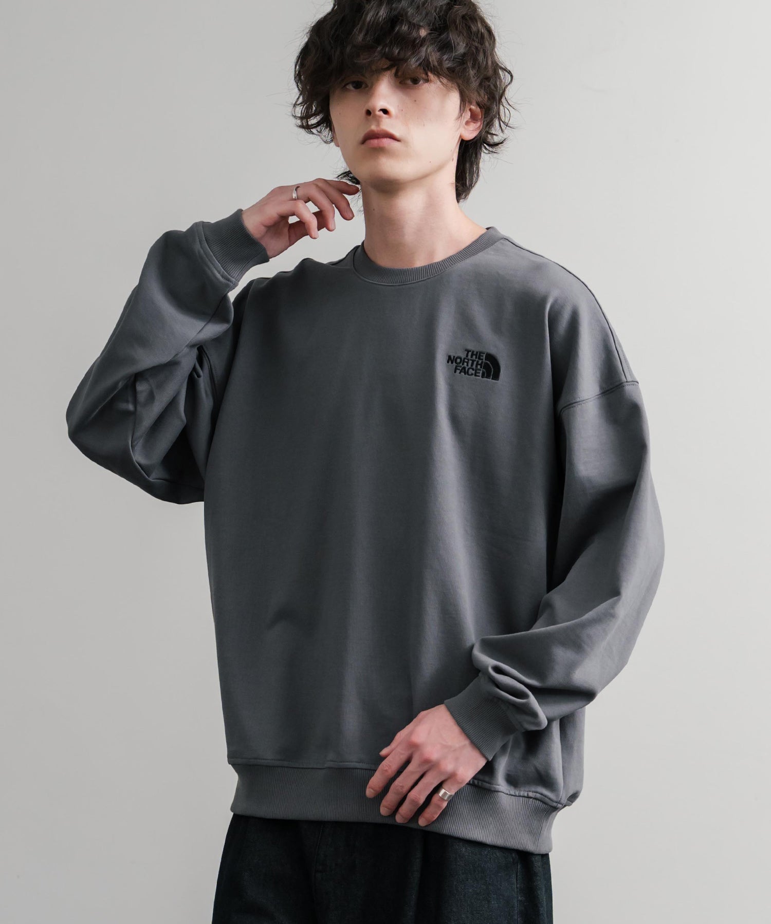 日本未展開モデル THE NORTH FACE ザ・ノースフェイス WHITE LABEL ホワイトレーベル TNF GO-TO SWEATSHIRTS ワンポイントロゴ刺繍クルーネック長袖スウェットトレーナー 15433