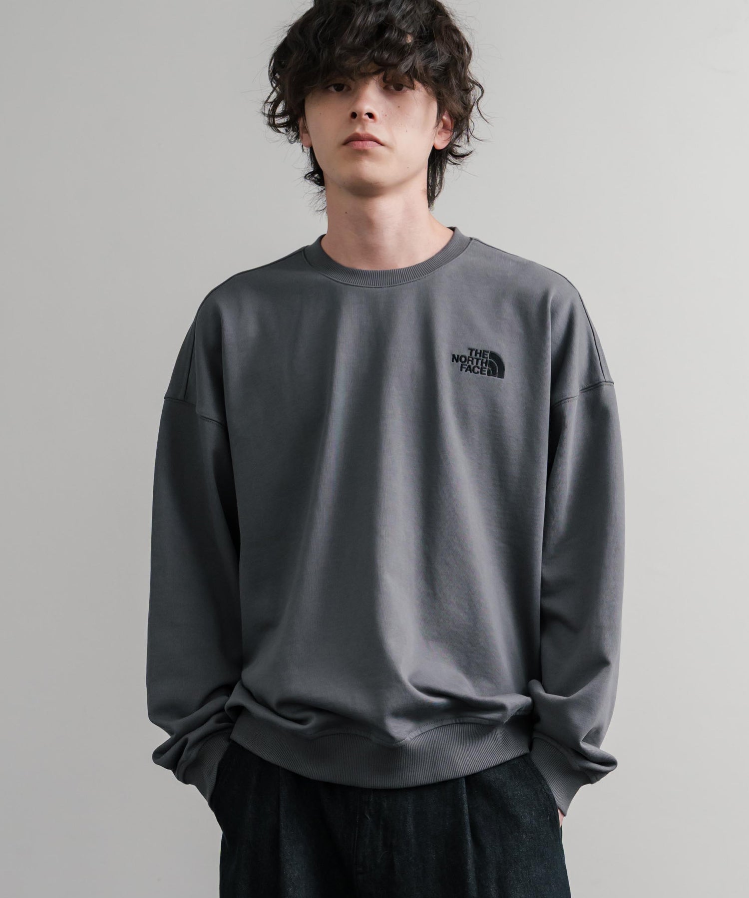 日本未展開モデル THE NORTH FACE ザ・ノースフェイス WHITE LABEL ホワイトレーベル TNF GO-TO SWEATSHIRTS ワンポイントロゴ刺繍クルーネック長袖スウェットトレーナー 15433