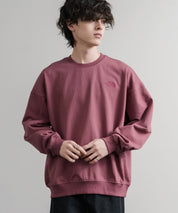 日本未展開モデル THE NORTH FACE ザ・ノースフェイス WHITE LABEL ホワイトレーベル TNF GO-TO SWEATSHIRTS ワンポイントロゴ刺繍クルーネック長袖スウェットトレーナー 15433
