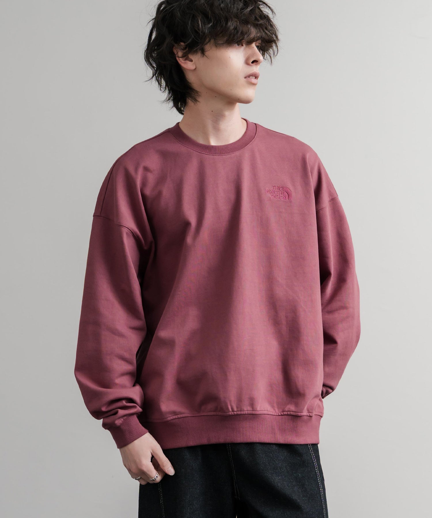 日本未展開モデル THE NORTH FACE ザ・ノースフェイス WHITE LABEL ホワイトレーベル TNF GO-TO SWEATSHIRTS ワンポイントロゴ刺繍クルーネック長袖スウェットトレーナー 15433