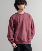 日本未展開モデル THE NORTH FACE ザ・ノースフェイス WHITE LABEL ホワイトレーベル TNF GO-TO SWEATSHIRTS ワンポイントロゴ刺繍クルーネック長袖スウェットトレーナー 15433