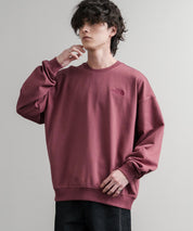 日本未展開モデル THE NORTH FACE ザ・ノースフェイス WHITE LABEL ホワイトレーベル TNF GO-TO SWEATSHIRTS ワンポイントロゴ刺繍クルーネック長袖スウェットトレーナー 15433