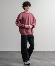 日本未展開モデル THE NORTH FACE ザ・ノースフェイス WHITE LABEL ホワイトレーベル TNF GO-TO SWEATSHIRTS ワンポイントロゴ刺繍クルーネック長袖スウェットトレーナー 15433