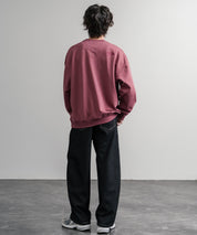 日本未展開モデル THE NORTH FACE ザ・ノースフェイス WHITE LABEL ホワイトレーベル TNF GO-TO SWEATSHIRTS ワンポイントロゴ刺繍クルーネック長袖スウェットトレーナー 15433