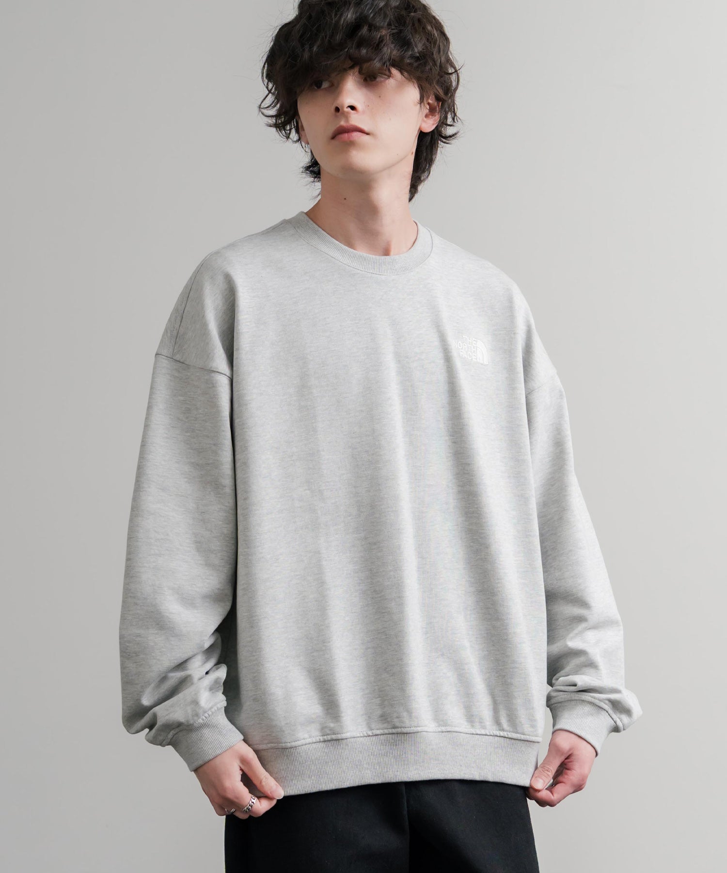 日本未展開モデル THE NORTH FACE ザ・ノースフェイス WHITE LABEL ホワイトレーベル TNF GO-TO SWEATSHIRTS ワンポイントロゴ刺繍クルーネック長袖スウェットトレーナー 15433
