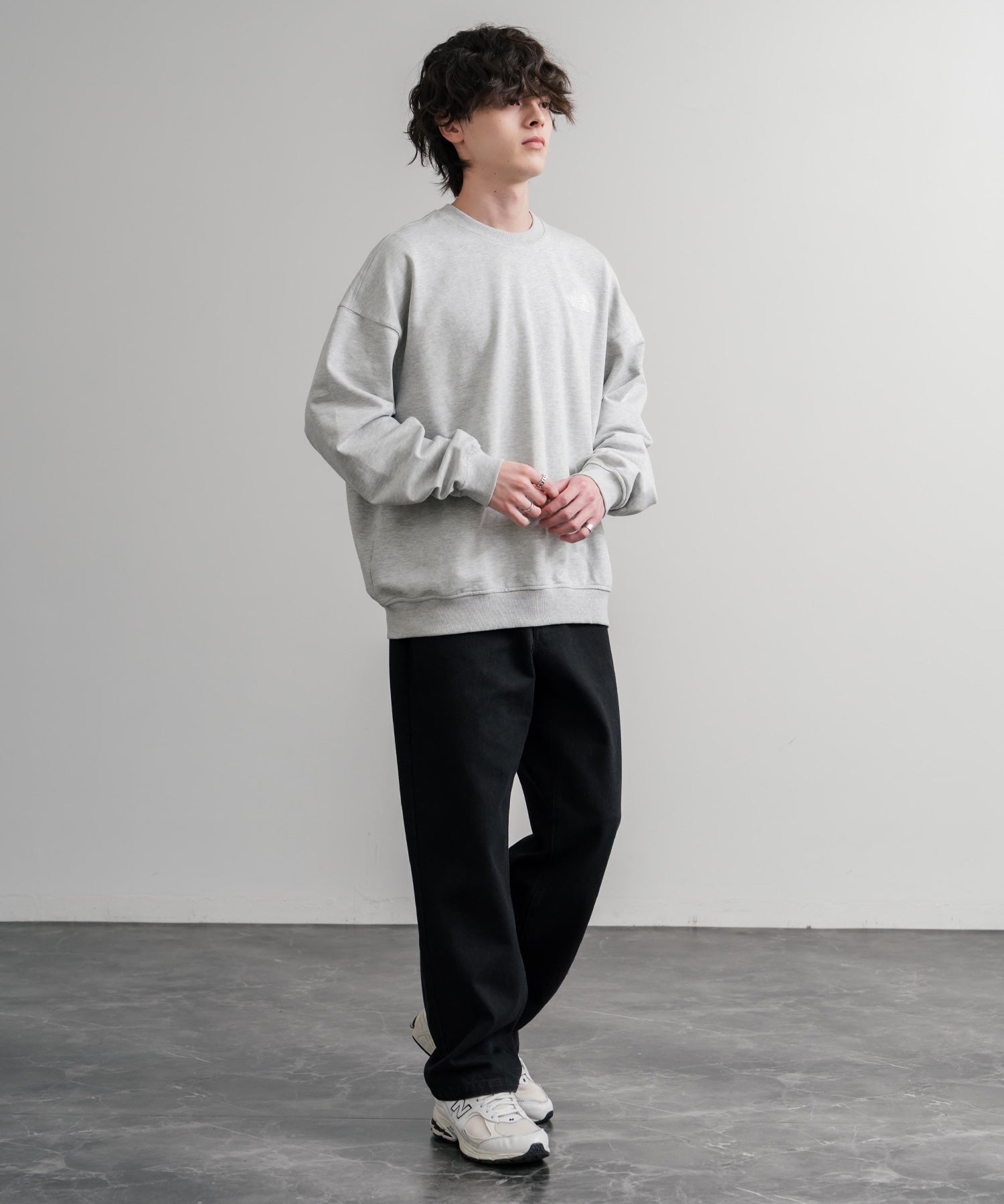 日本未展開モデル THE NORTH FACE ザ・ノースフェイス WHITE LABEL ホワイトレーベル TNF GO-TO SWEATSHIRTS ワンポイントロゴ刺繍クルーネック長袖スウェットトレーナー 15433