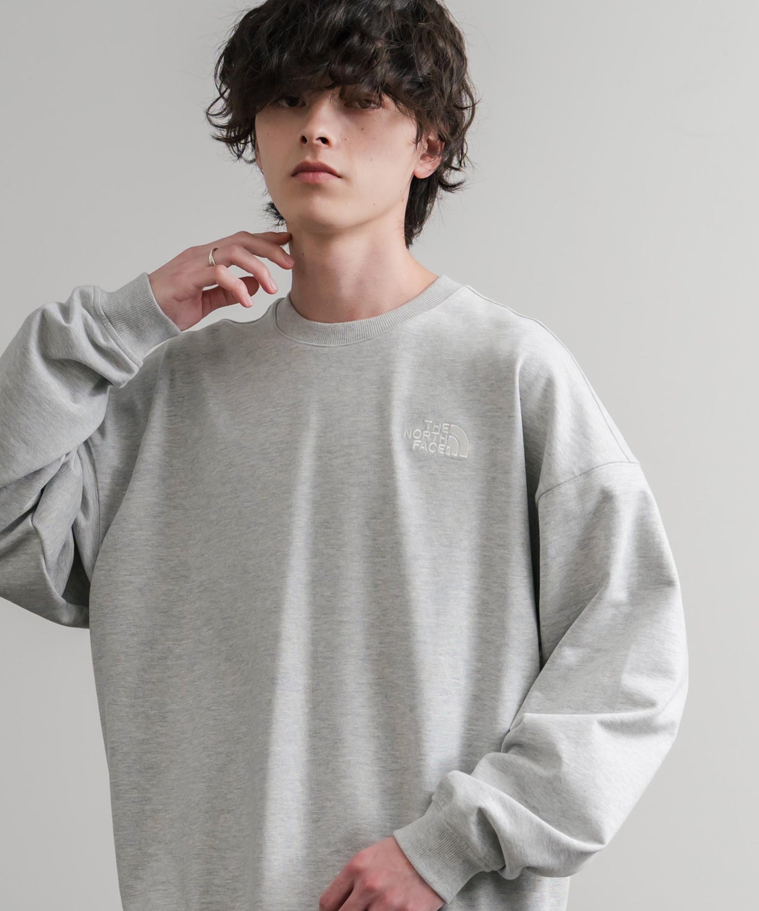 日本未展開モデル THE NORTH FACE ザ・ノースフェイス WHITE LABEL ホワイトレーベル TNF GO-TO SWEATSHIRTS ワンポイントロゴ刺繍クルーネック長袖スウェットトレーナー 15433