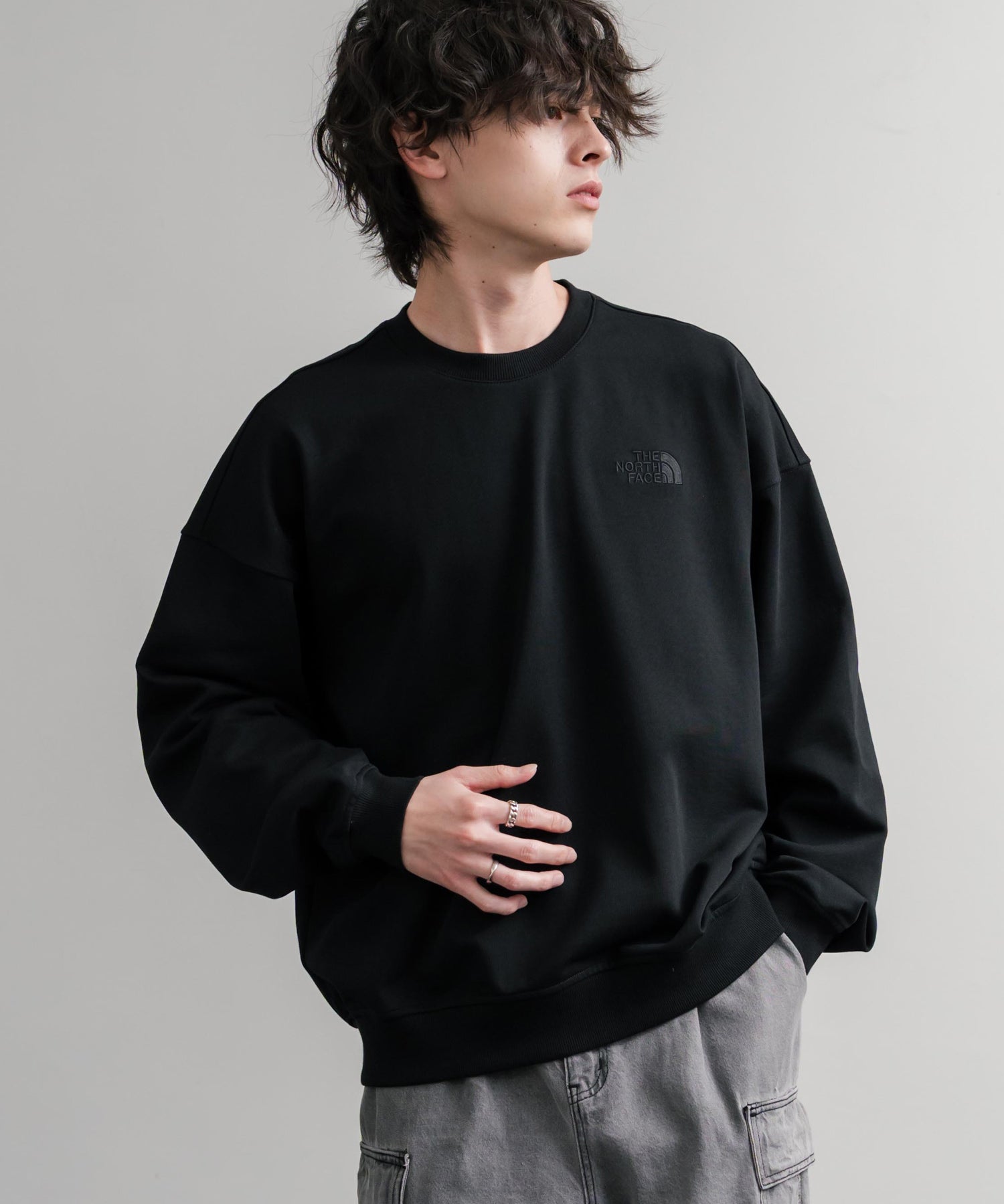 日本未展開モデル THE NORTH FACE ザ・ノースフェイス WHITE LABEL ホワイトレーベル TNF GO-TO SWEATSHIRTS ワンポイントロゴ刺繍クルーネック長袖スウェットトレーナー 15433