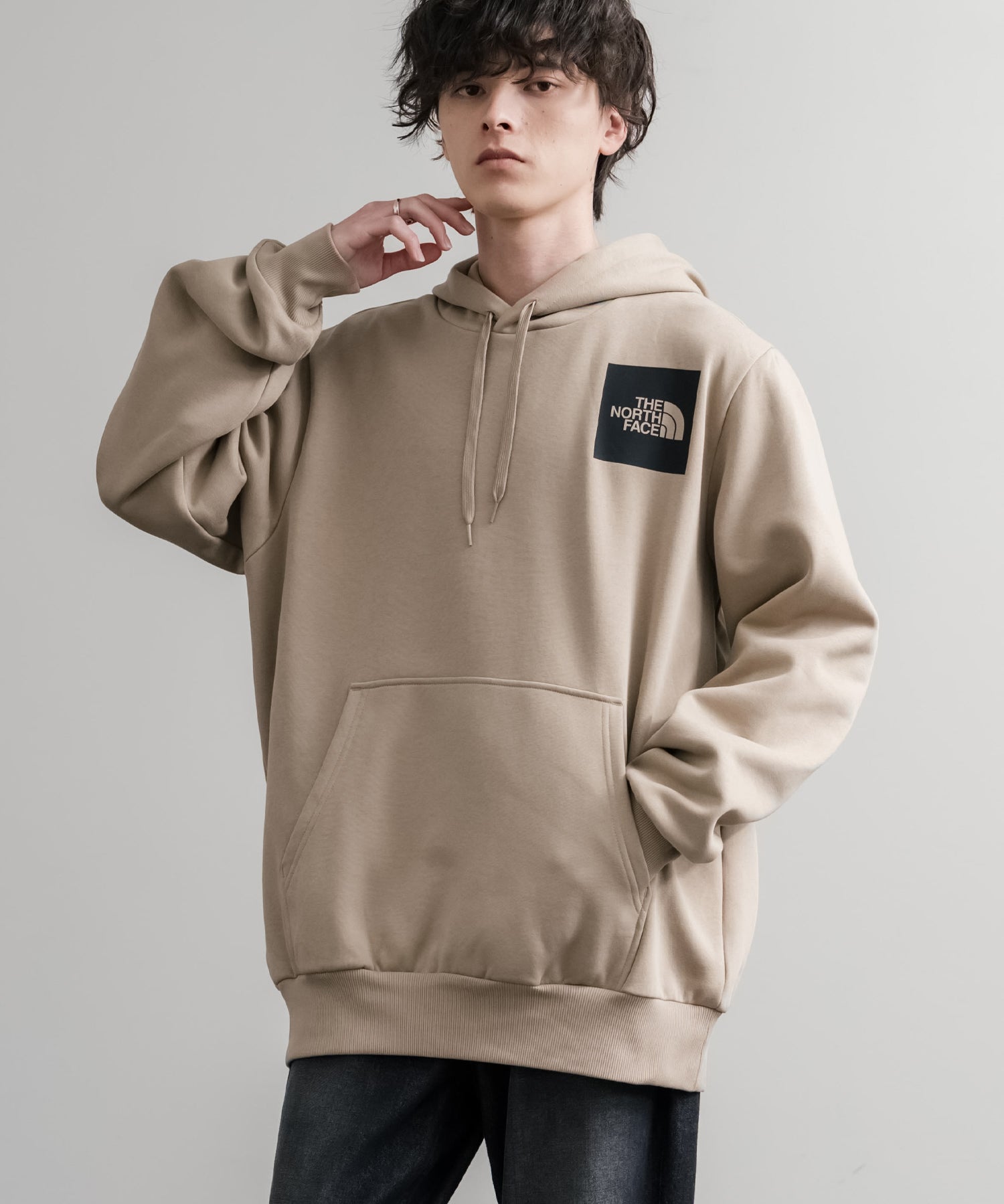 THE NORTH FACE ザ・ノースフェイス FINE HOODIE/裏起毛ロゴワンポイントプルオーバーパーカー 15485
