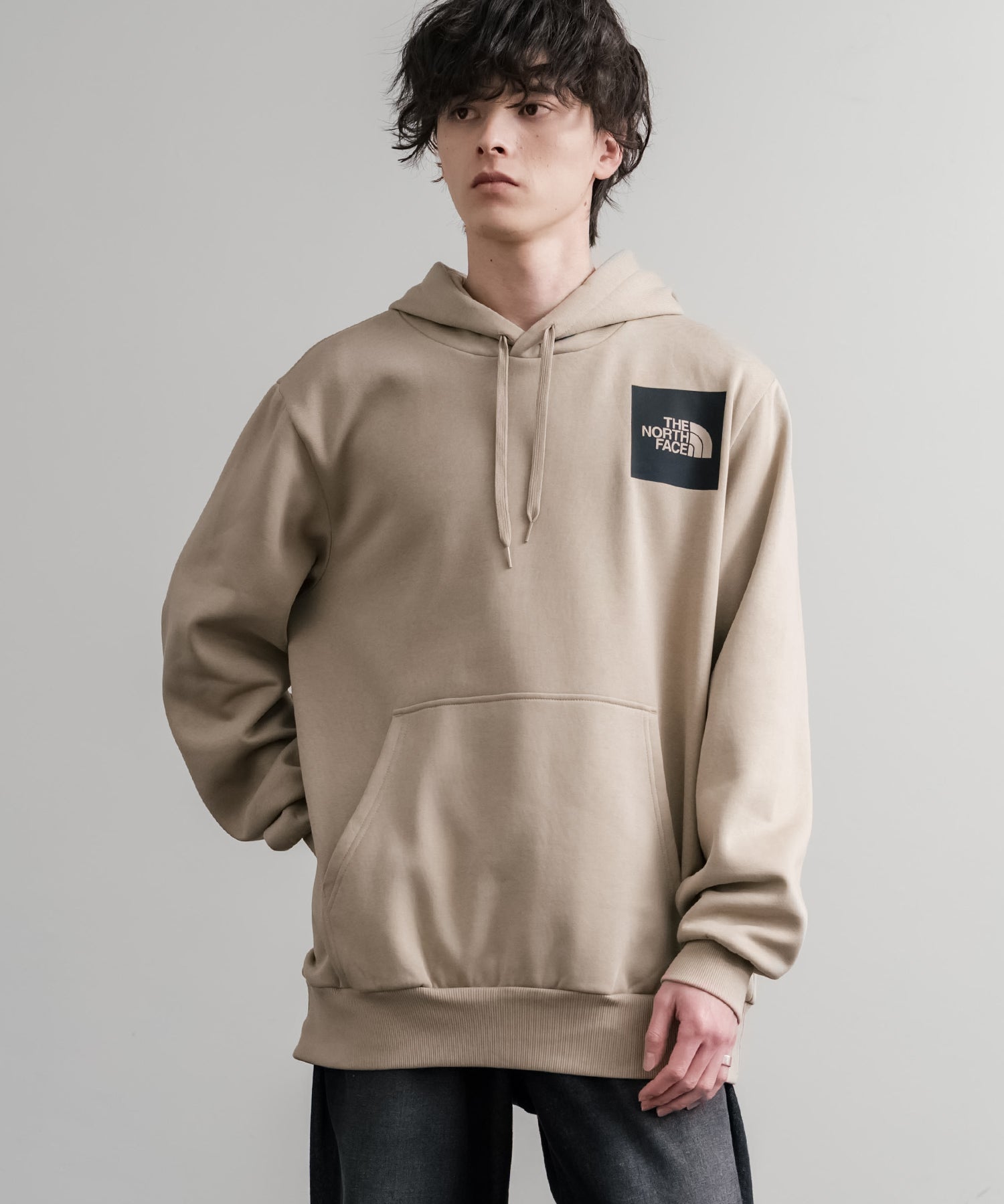 THE NORTH FACE ザ・ノースフェイス FINE HOODIE/裏起毛ロゴワンポイントプルオーバーパーカー 15485